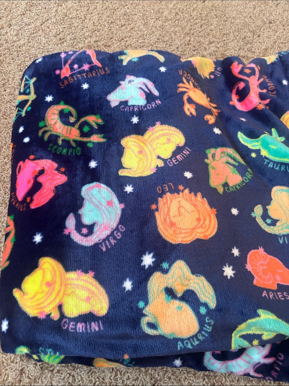 Used Once The Big One Zodiac Sign Astrology Print Plush Blanket in Bright Colors